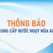 Thông báo về việc cung cấp nước ngọt trong mùa khô năm 2021-2022 trên địa bàn huyện Giồng Trôm